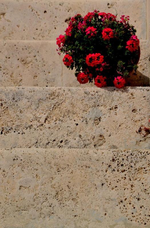 B&B Casale Fonte Vecchia モンテプランドーネ エクステリア 写真
