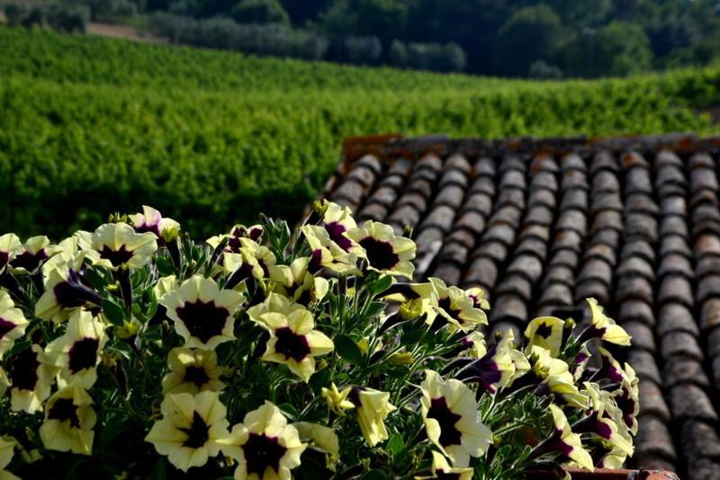 B&B Casale Fonte Vecchia モンテプランドーネ エクステリア 写真