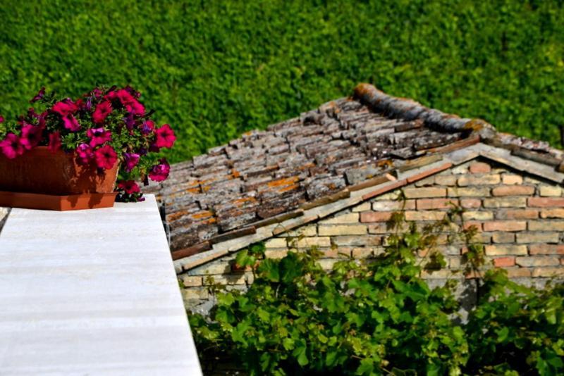 B&B Casale Fonte Vecchia モンテプランドーネ エクステリア 写真