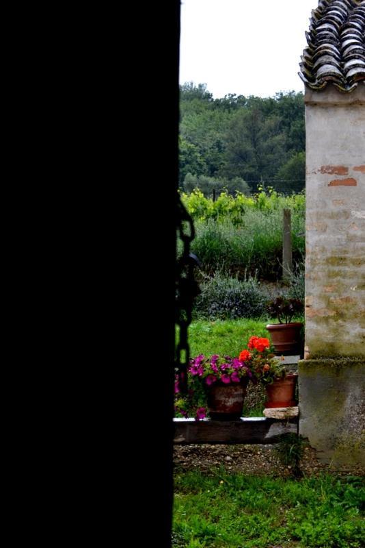 B&B Casale Fonte Vecchia モンテプランドーネ エクステリア 写真