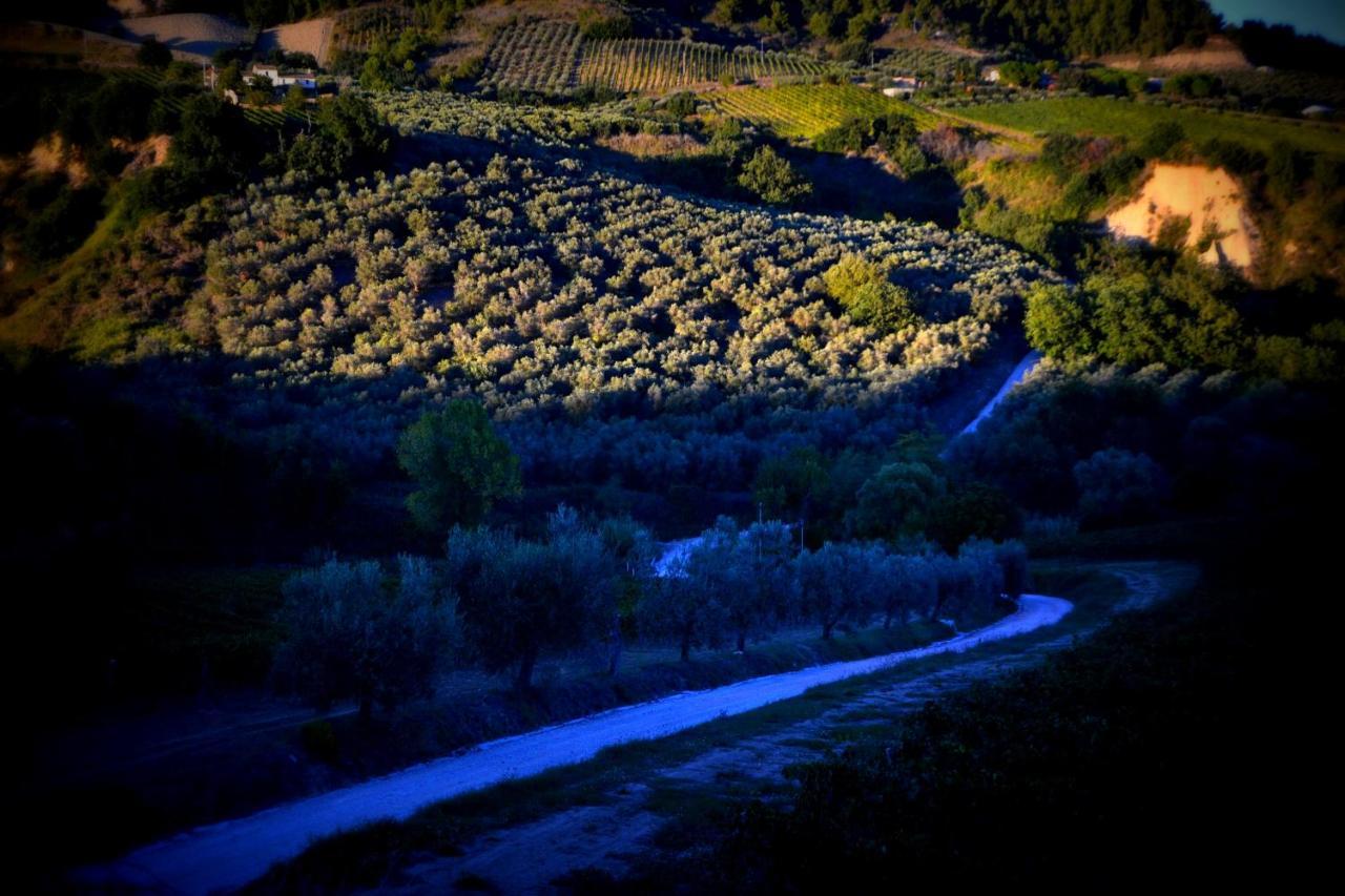 B&B Casale Fonte Vecchia モンテプランドーネ エクステリア 写真
